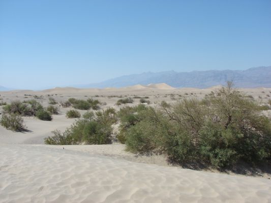 Death Valley
Im Death Valley
