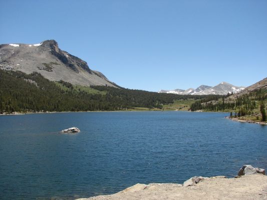 Yosemite N.P.
Im Yosemite Nationalpark
