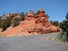 Red Canyon