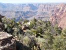 Grand Canyon N.P.