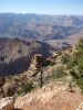 Grand Canyon N.P.