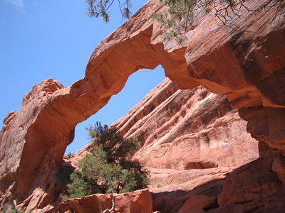 Arches 4
