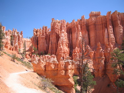 Bryce 4
