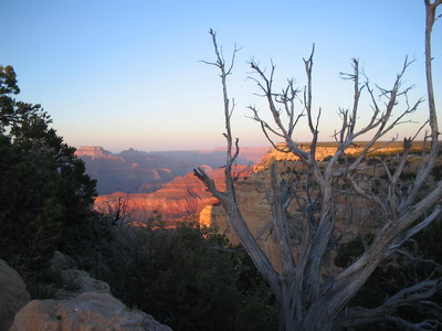 Grand Canyon 3
