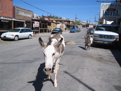 Oatman 2
