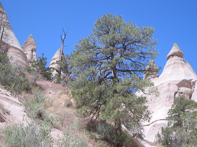 Tent Rocks 3
