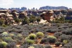 Canyonlands - Needles