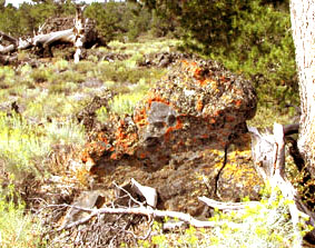 Craters of the moon/ID_bemooste Lavaformation
