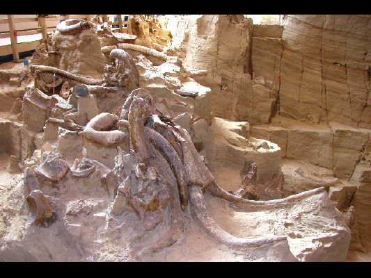 Hot Springs/SD_ Mammoth-Site
