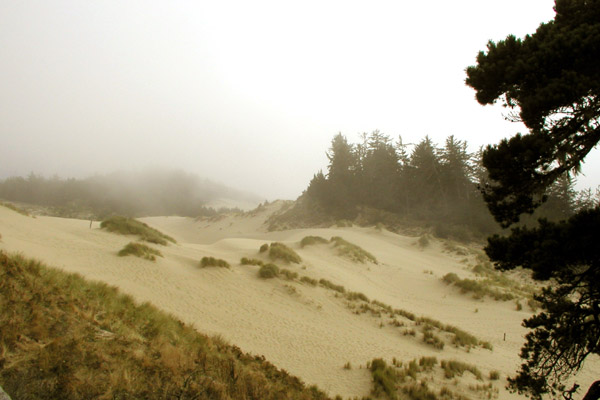 Oregon Dunes
