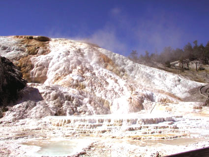 Yellowstone NP/WY_Mammoth Hot Springs

