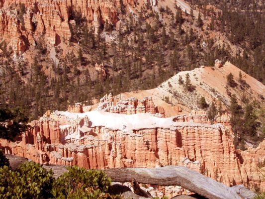 Bryce Canyon/UT_ Ein Alligator?
