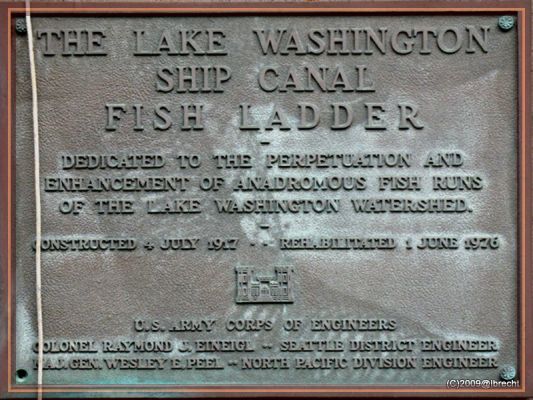 Fischleiter am Kanal zum Lake Washington in Seattle
