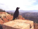 Bryce_Canyon_22.jpg