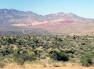 Death Valley/CA