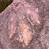 Glen Canyon Dam/AZ_ Dino Spuren
