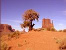 Monument Valley UT_left Mitten