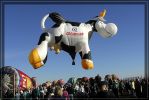 Albuquerque/NM_Balloon Fiesta