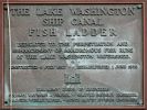 Fischleiter am Kanal zum Lake Washington in Seattle
