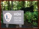 Ho-Rainforest