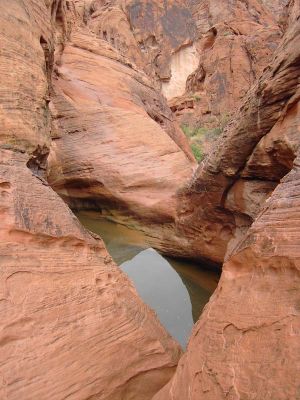 Mouse Hole Trail
