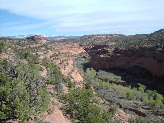 Auf dem Burr Trail
