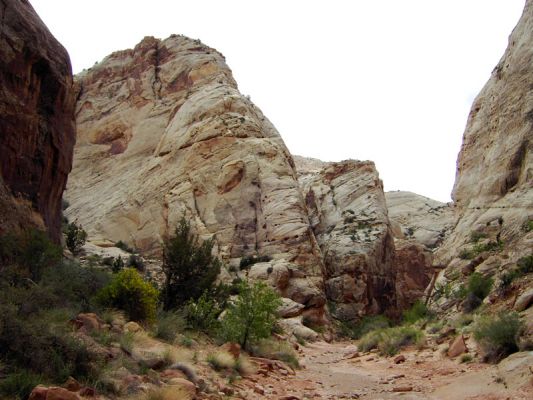 Capitol Gorge
