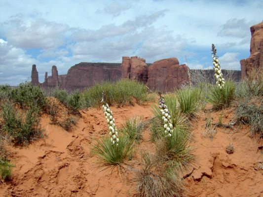 Monument Valley
