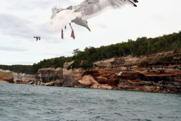 Pictured Rocks Tours
