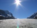 Columbia-Icefield,Banff NP