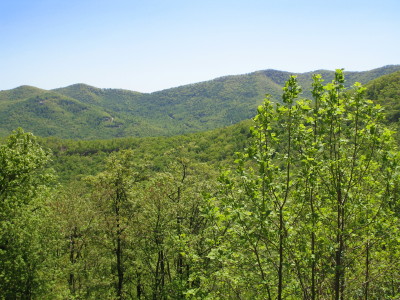 Blue Ridge Mountain Parkway
