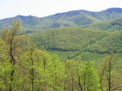 Blue Ridge Mountain Parkway
