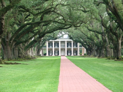 Oak Alley
