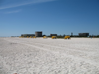Treasure Island
