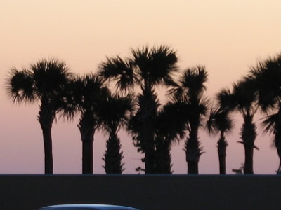 Treasure Island
