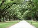 Boone Hall Plantation, Charleston, SC