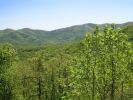 Blue Ridge Mountain Parkway