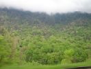 Great Smoky Mountains