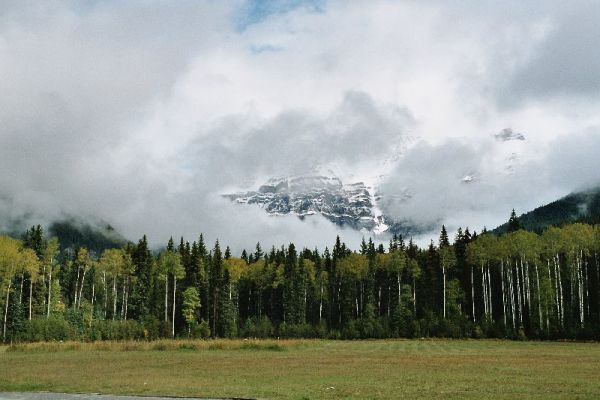 wolkenverhüllter Mount Robson
