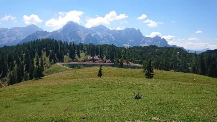 Wiese_Wald_und_Berge.jpg