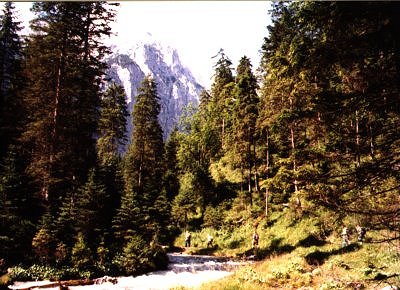  Der Weg durch das Reintal entlang der Partnach
Nachdem man die Partnachklamm durchquert hat, führt der Weg auf die Zugspitze immer entlang des Flüßchens durch das Reintal. Unterwegs gibt es genügend Hütten, die eine Rast oder auch eine Übernachtung ermöglichen.
Schlüsselwörter: Deutschland