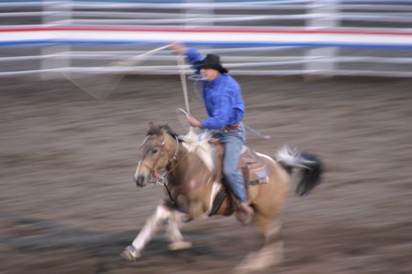 Rodeo in Cody
