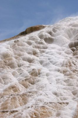 Mammoth Hot Springs 4
