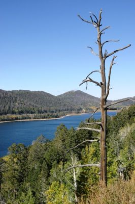 Navajo_Lake.JPG