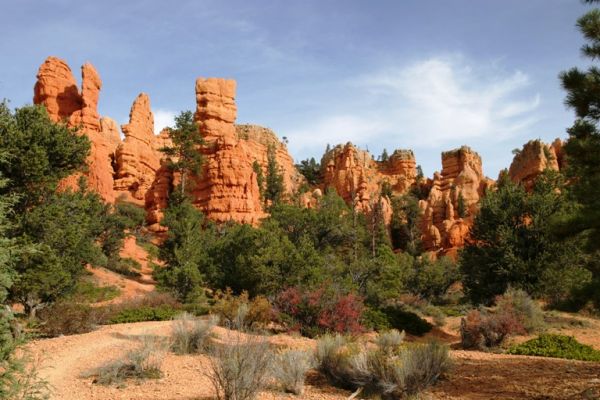 red_canyon.JPG