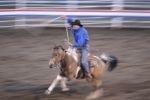 Rodeo in Cody