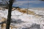 Mammoth Hot Springs 1