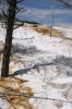 Mammoth Hot Springs 2