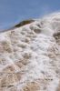 Mammoth Hot Springs 4