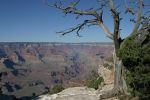 IMG_4853.JPG
